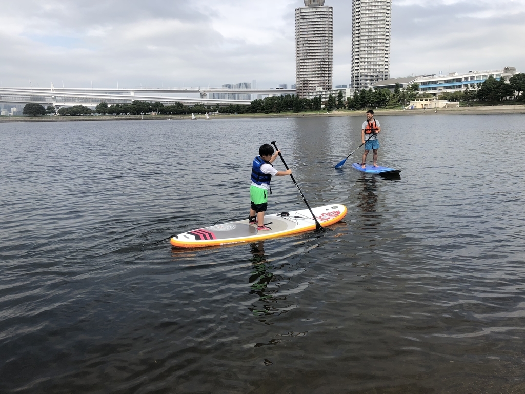 f:id:bigstrategy:20180926165541j:plain f:id:bigstrategy:20180926165541j:plain