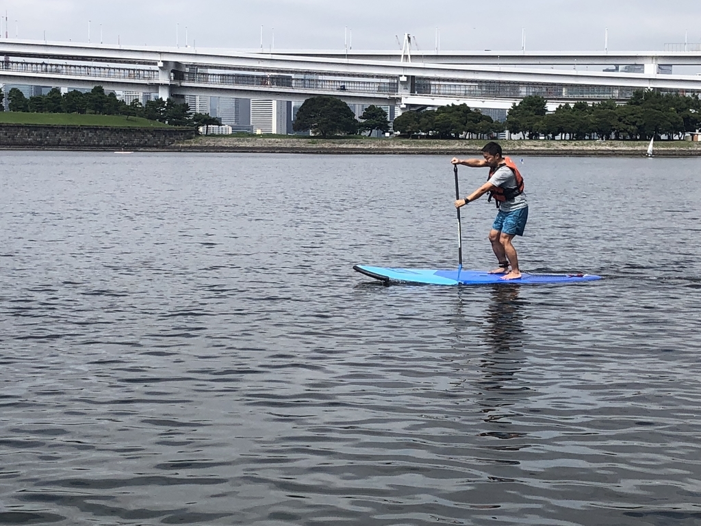 f:id:bigstrategy:20180926170153j:plain f:id:bigstrategy:20180926170153j:plain