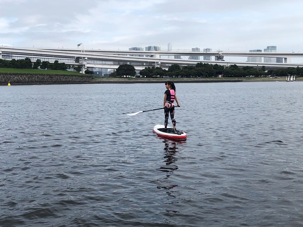 f:id:bigstrategy:20180926172950j:plain f:id:bigstrategy:20180926172950j:plain