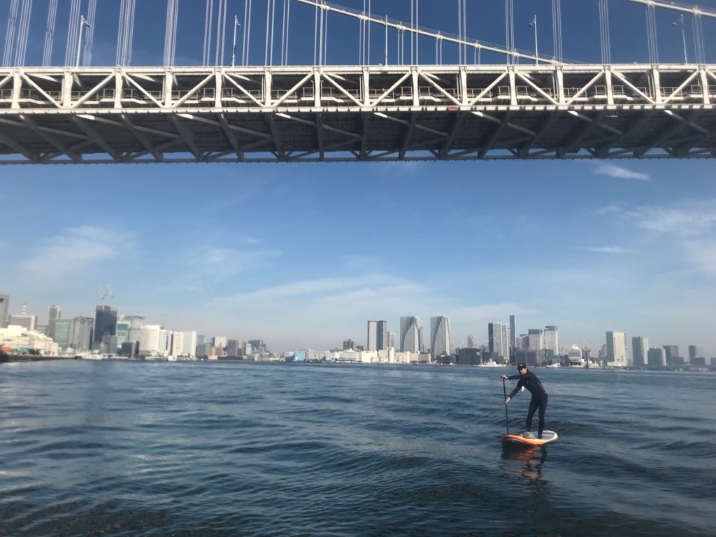 f:id:bigstrategy:20181119142118j:plain f:id:bigstrategy:20181119142118j:plain