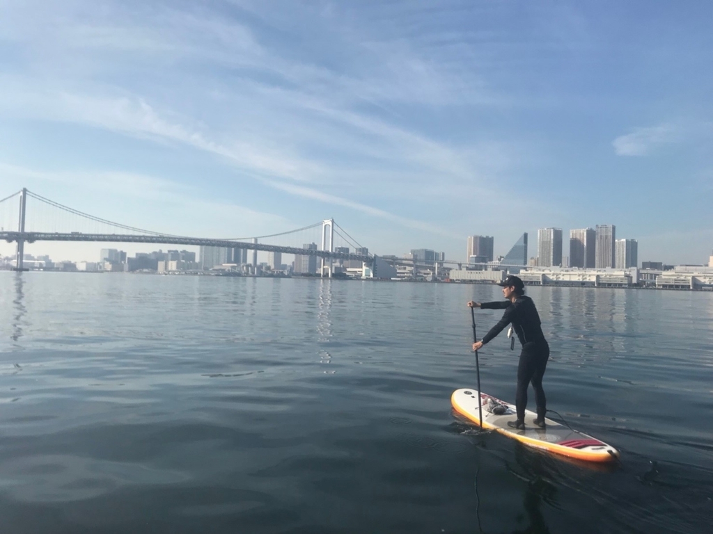 f:id:bigstrategy:20181120150658j:plain f:id:bigstrategy:20181120150658j:plain