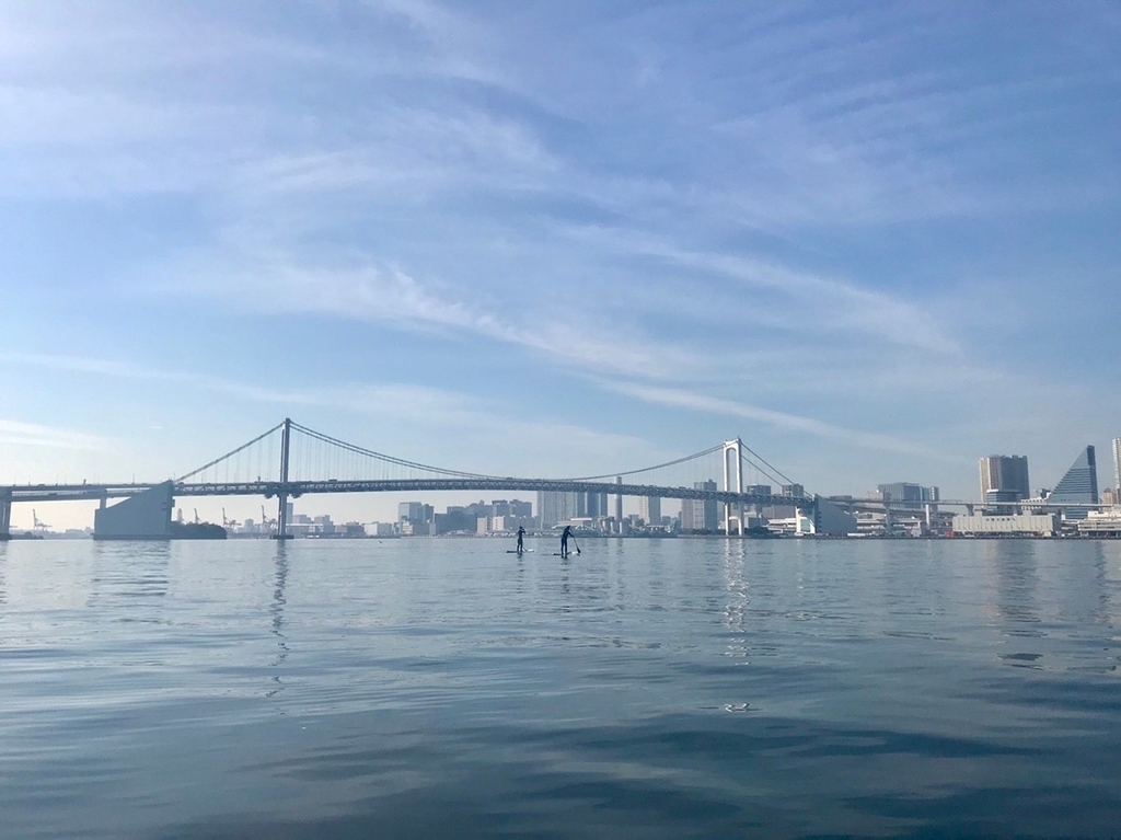 f:id:bigstrategy:20181120180421j:plain f:id:bigstrategy:20181120180421j:plain