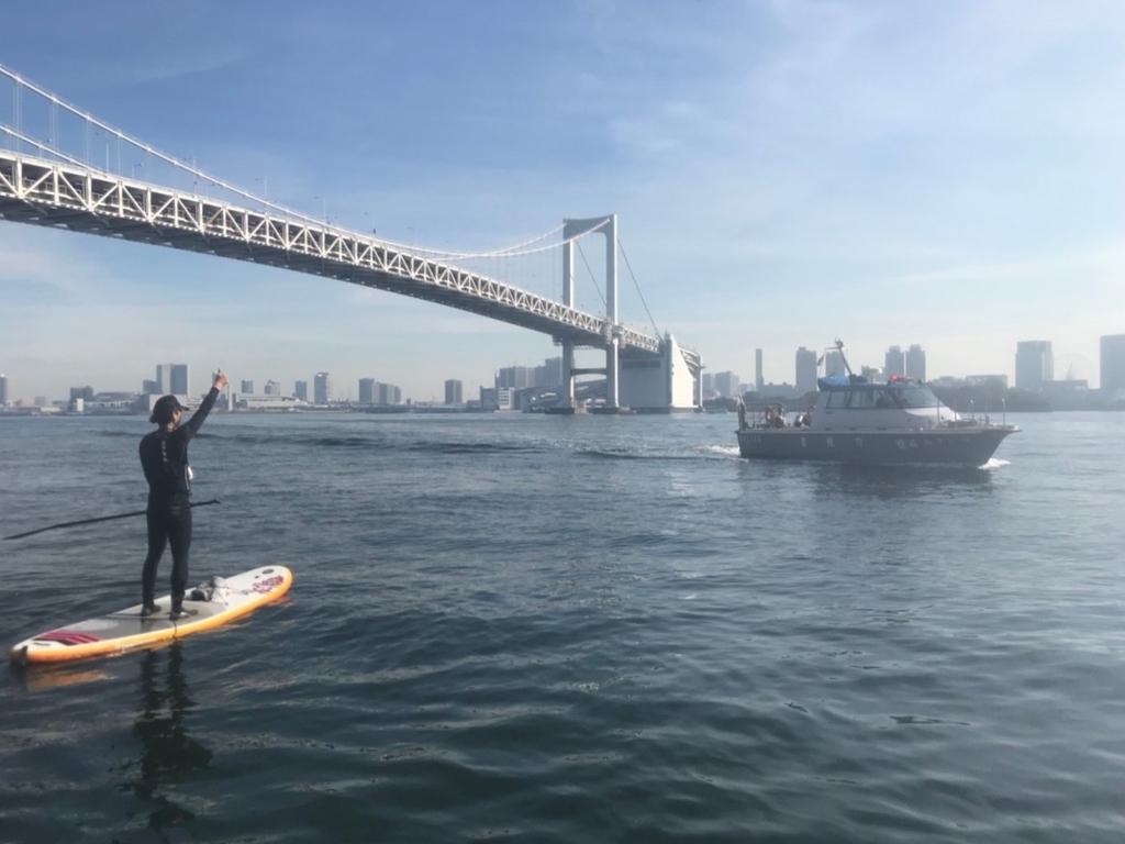 f:id:bigstrategy:20181122133214j:plain f:id:bigstrategy:20181122133214j:plain