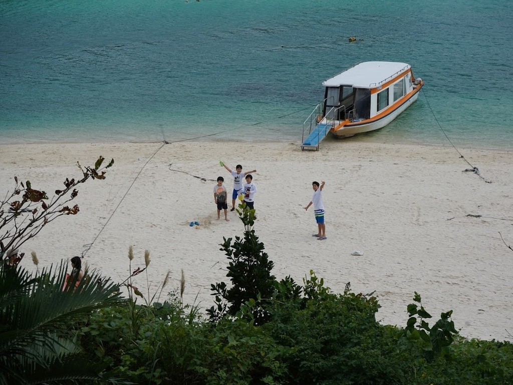 f:id:bigstrategy:20190115131120j:plain f:id:bigstrategy:20190115131120j:plain