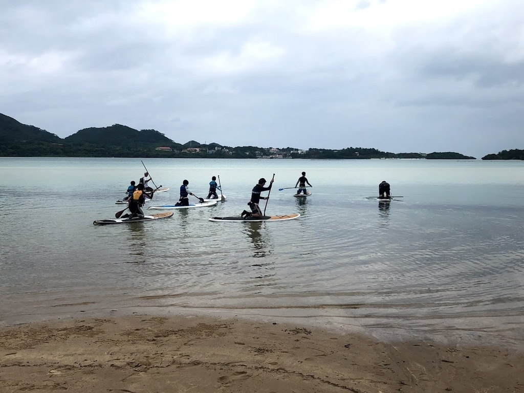 f:id:bigstrategy:20190115155229j:plain f:id:bigstrategy:20190115155229j:plain