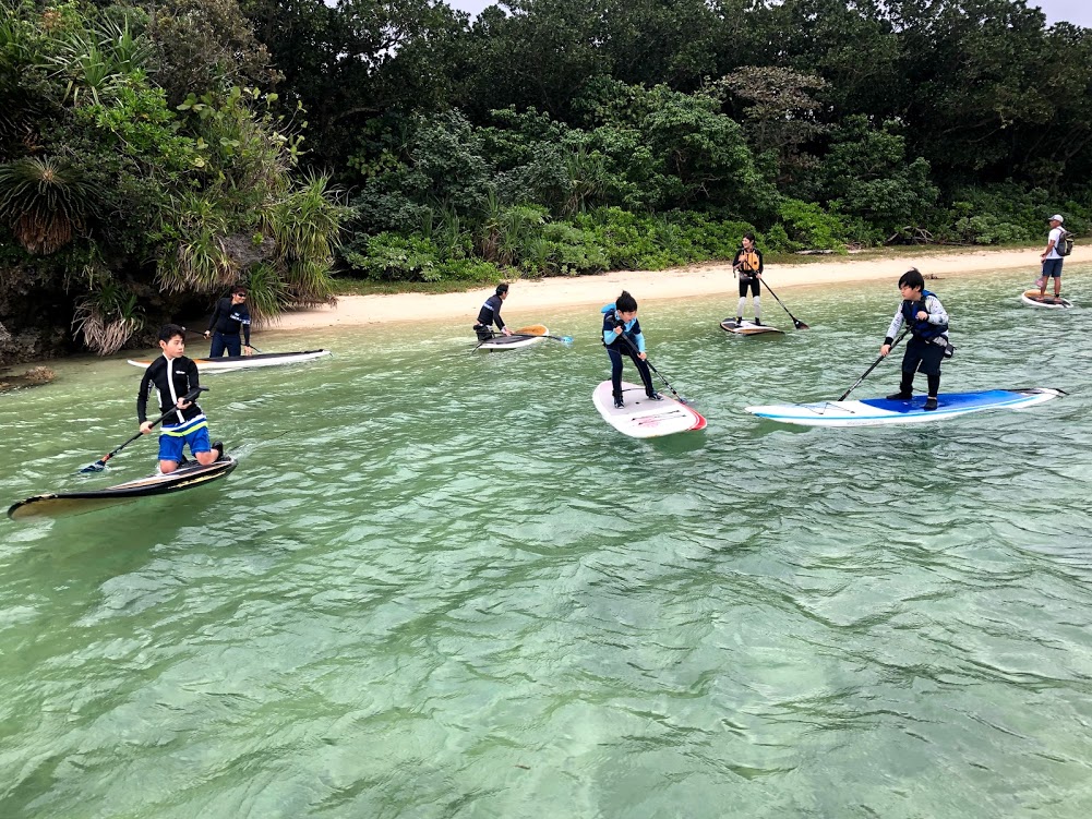 f:id:bigstrategy:20190115155731j:plain f:id:bigstrategy:20190115155731j:plain