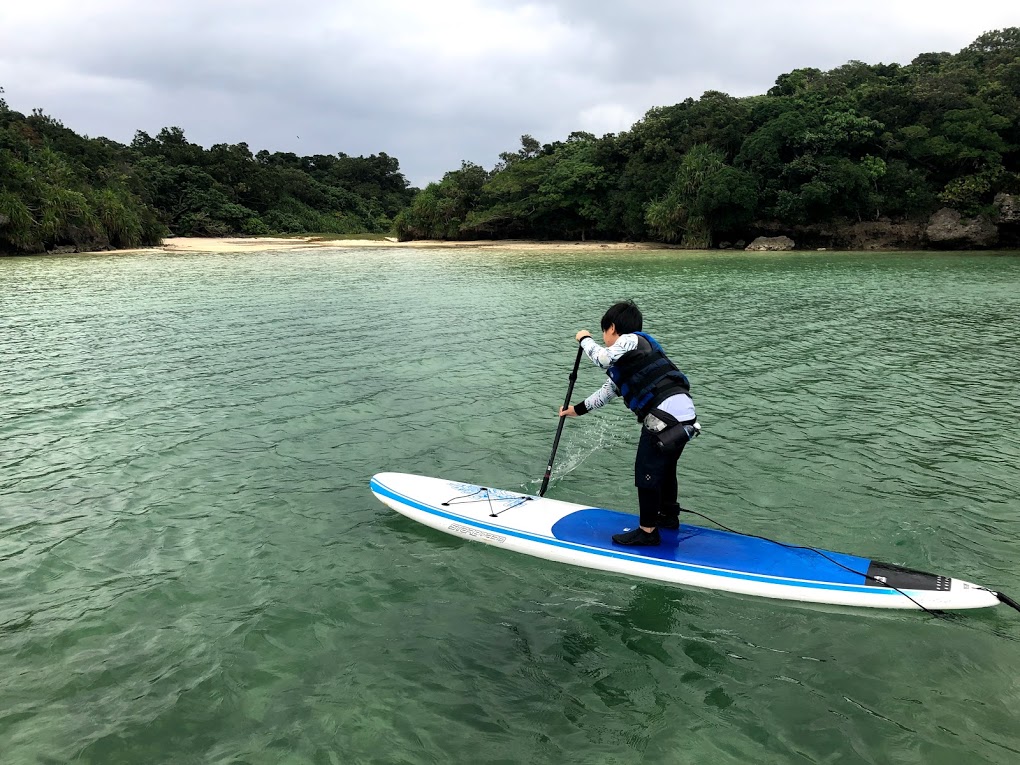 f:id:bigstrategy:20190116174235j:plain f:id:bigstrategy:20190116174235j:plain