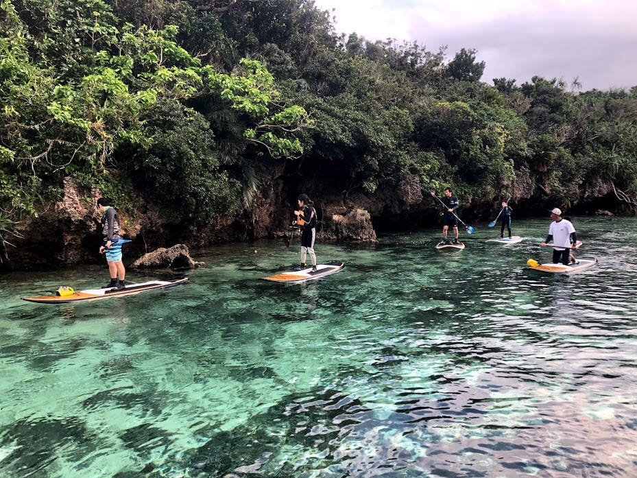 f:id:bigstrategy:20190117132907j:plain f:id:bigstrategy:20190117132907j:plain