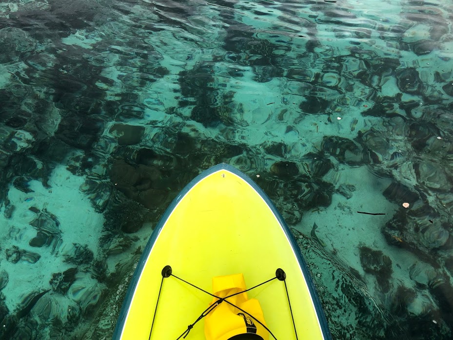 f:id:bigstrategy:20190117132930j:plain f:id:bigstrategy:20190117132930j:plain