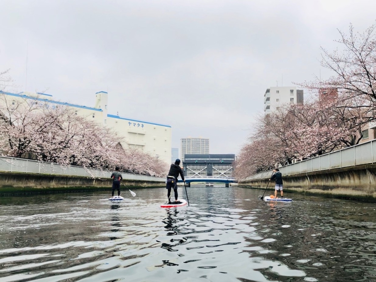 f:id:bigstrategy:20190416160112j:plain f:id:bigstrategy:20190416160112j:plain