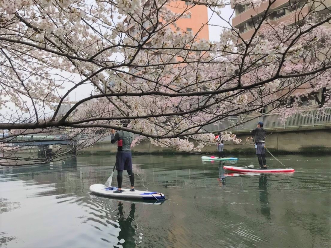 f:id:bigstrategy:20190416170210j:plain f:id:bigstrategy:20190416170210j:plain