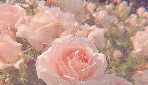 f:id:bihadabiyou:20211129133048j:plain