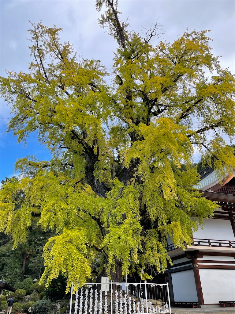 f:id:bihadamichi:20211122203435j:image f:id:bihadamichi:20211122203435j:image