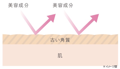 f:id:bihadasabo:20190129145247j:plain f:id:bihadasabo:20190129145247j:plain