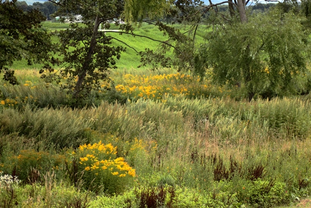 f:id:bihorokiyoshi:20190902051129j:plain