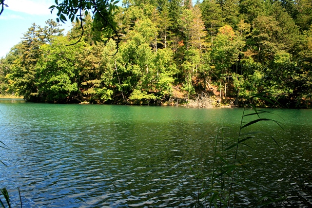 f:id:bihorokiyoshi:20190904061743j:plain