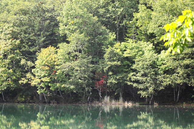 f:id:bihorokiyoshi:20190904061803j:plain