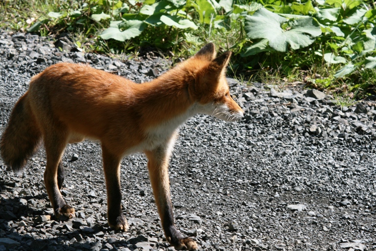 イメージ 4