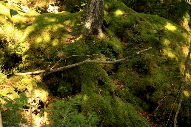 f:id:bihorokiyoshi:20190911060642j:plain