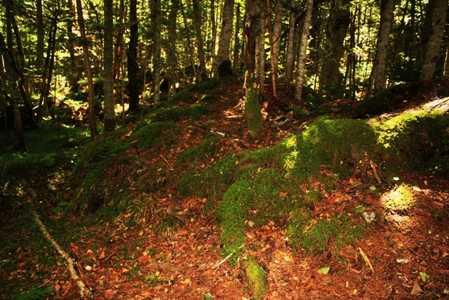 f:id:bihorokiyoshi:20190911060719j:plain