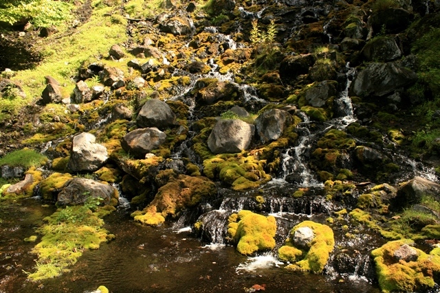 f:id:bihorokiyoshi:20190913062238j:plain