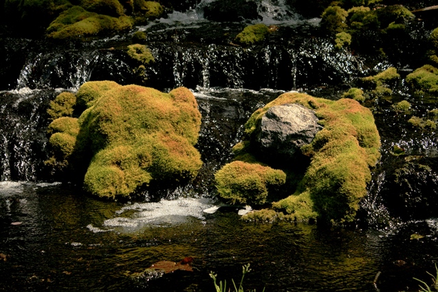 f:id:bihorokiyoshi:20190913062314j:plain