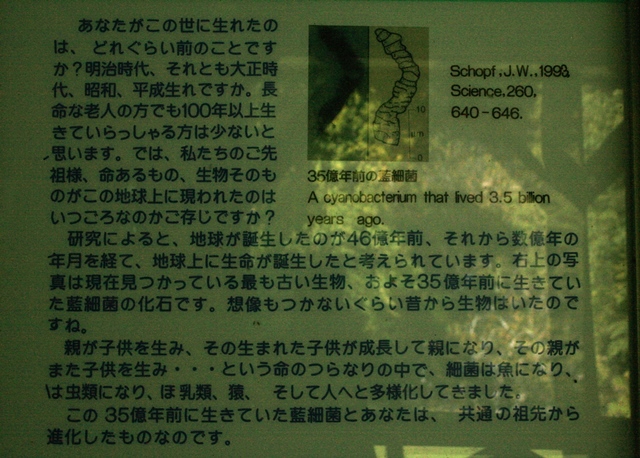 f:id:bihorokiyoshi:20190913062425j:plain
