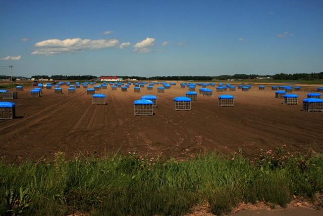 f:id:bihorokiyoshi:20190915060239j:plain