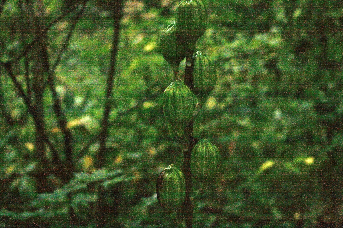 f:id:bihorokiyoshi:20190918060409j:plain