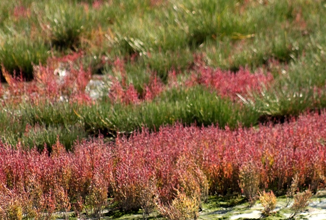 f:id:bihorokiyoshi:20190924052313j:plain f:id:bihorokiyoshi:20190924052313j:plain