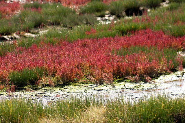 f:id:bihorokiyoshi:20190924052346j:plain f:id:bihorokiyoshi:20190924052346j:plain