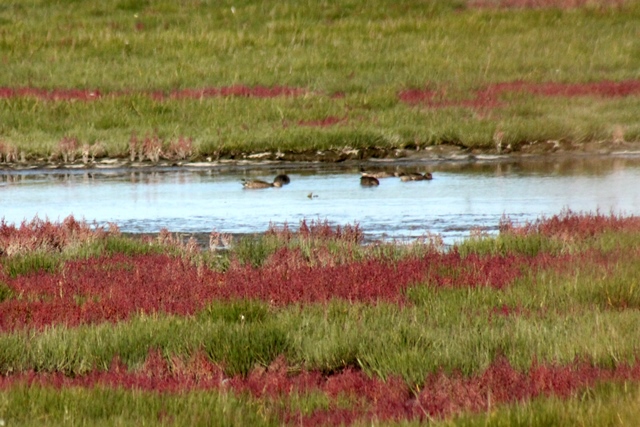f:id:bihorokiyoshi:20190924052407j:plain f:id:bihorokiyoshi:20190924052407j:plain