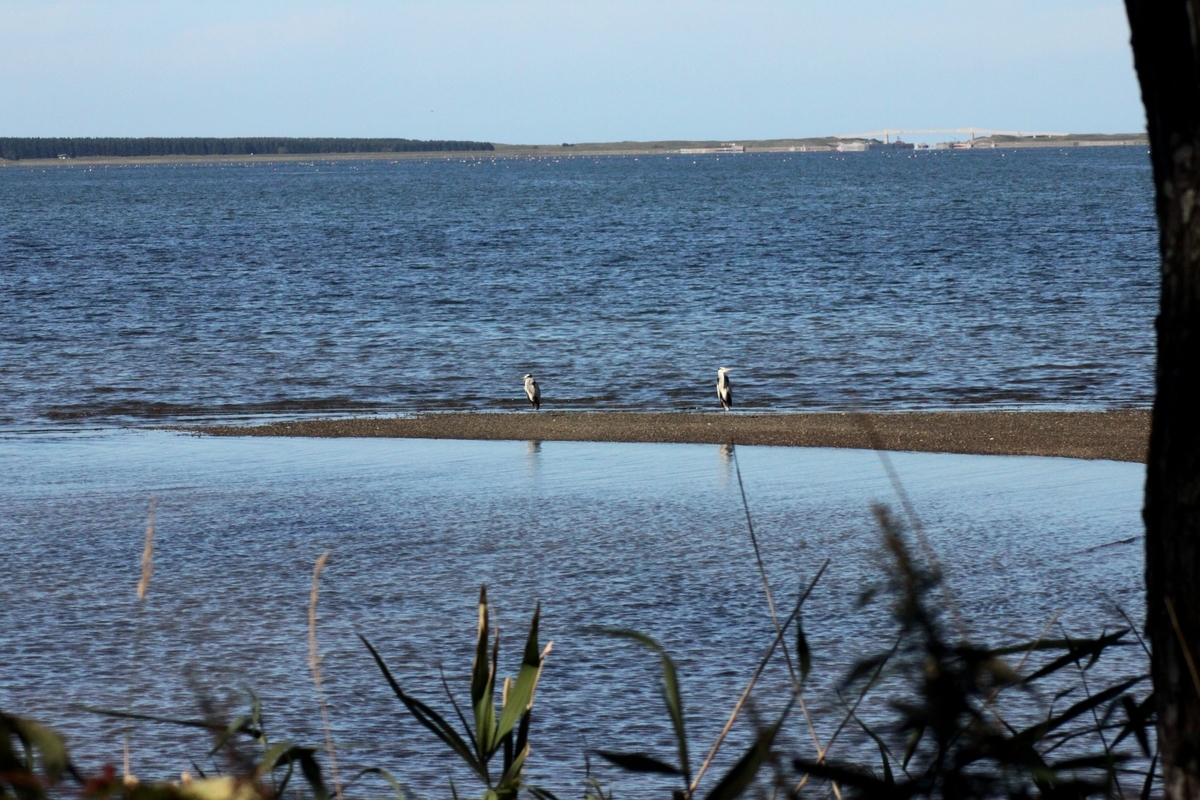 f:id:bihorokiyoshi:20190925080931j:plain