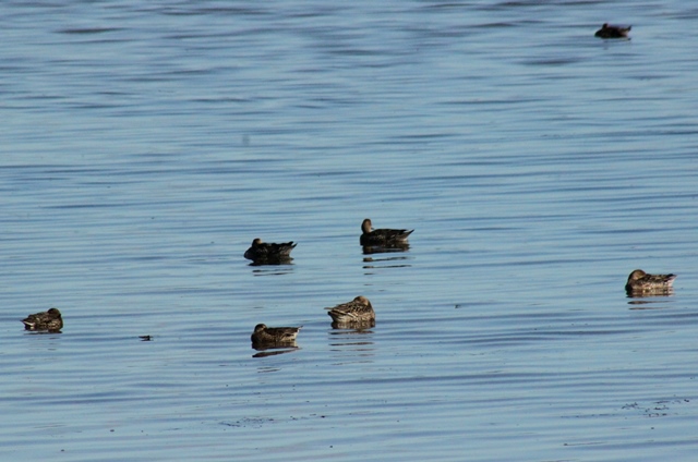 f:id:bihorokiyoshi:20190927080019j:plain