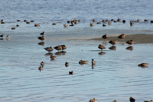 f:id:bihorokiyoshi:20190927080042j:plain