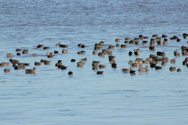 f:id:bihorokiyoshi:20190927080107j:plain