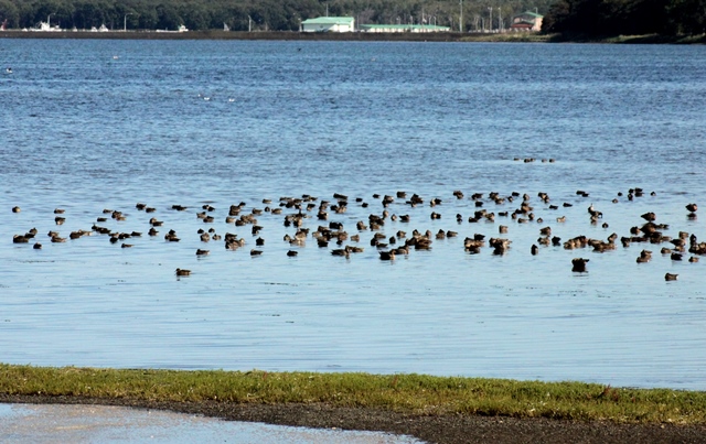 f:id:bihorokiyoshi:20190927080201j:plain