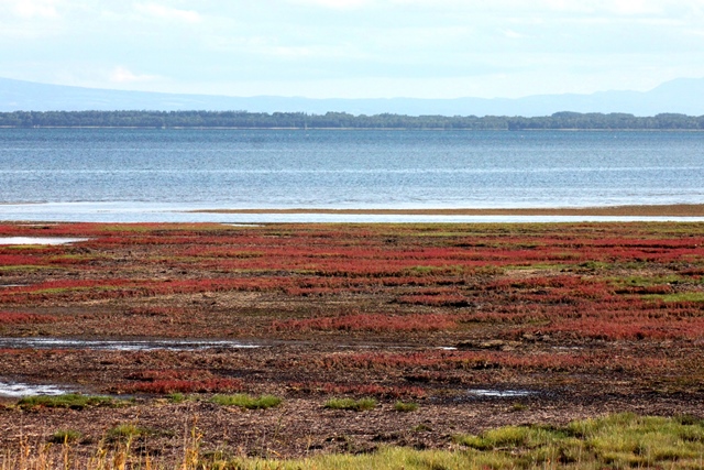 f:id:bihorokiyoshi:20190928072152j:plain