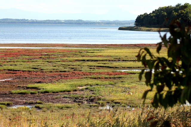 f:id:bihorokiyoshi:20190928072230j:plain