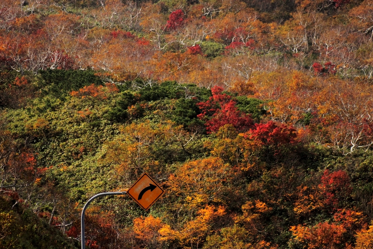 f:id:bihorokiyoshi:20191015074617j:plain