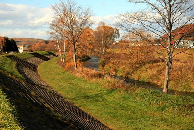 f:id:bihorokiyoshi:20191105063534j:plain