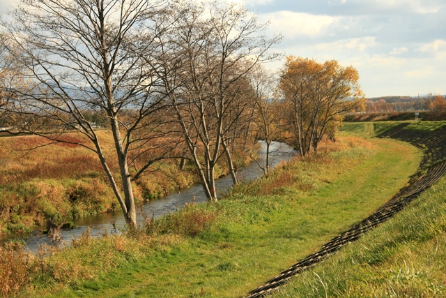 f:id:bihorokiyoshi:20191105063631j:plain