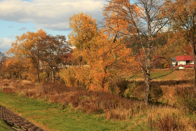 f:id:bihorokiyoshi:20191105063700j:plain