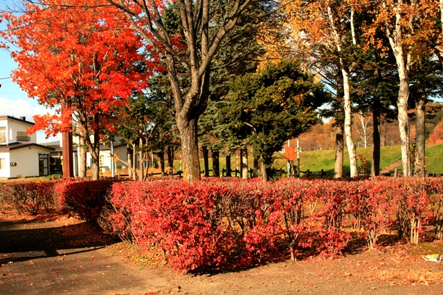 f:id:bihorokiyoshi:20191106050449j:plain f:id:bihorokiyoshi:20191106050449j:plain