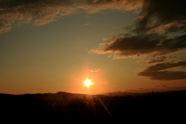 f:id:bihorokiyoshi:20191107065404j:plain