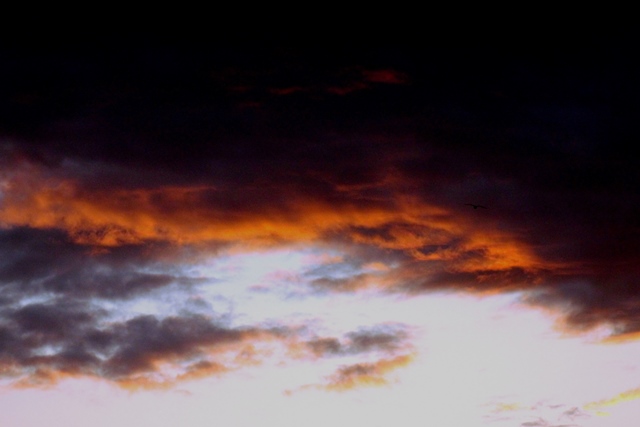 f:id:bihorokiyoshi:20191111064448j:plain