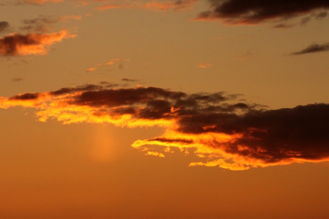 f:id:bihorokiyoshi:20191115060908j:plain