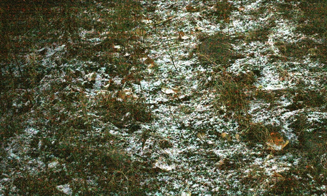 f:id:bihorokiyoshi:20191116064836j:plain