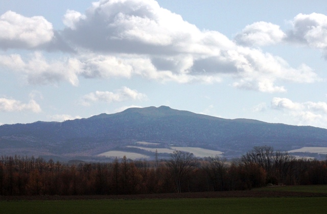 f:id:bihorokiyoshi:20191119063828j:plain