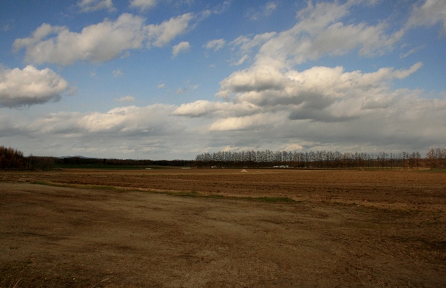 f:id:bihorokiyoshi:20191120064954j:plain